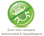 dust-mite2